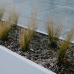 Stijlvolle 80 cm plantenbakken gevuld met verschillende planten in een mooie tuinsetting.